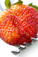 strawberry temptation