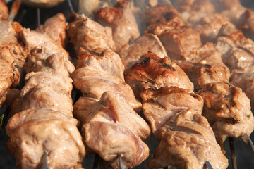meat kebabs shashlyk on a barbecue