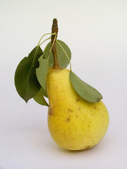 pear