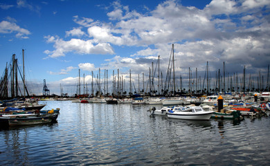 Fototapeta premium marina