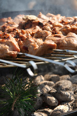 meat kebabs on bbq