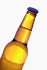 an isolated brown beer bottle
