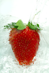 fresh strawberry