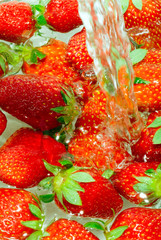 fresh strawberry