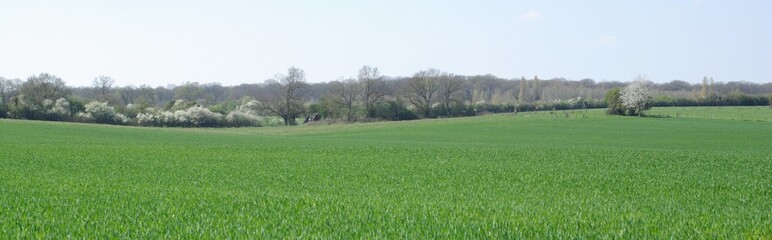 Obraz premium campagne normande