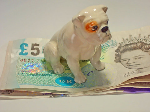 Bulldog Guarding Money