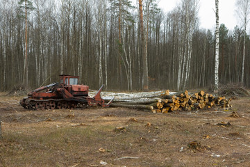 deforestation