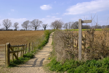 Fototapeta premium footpath