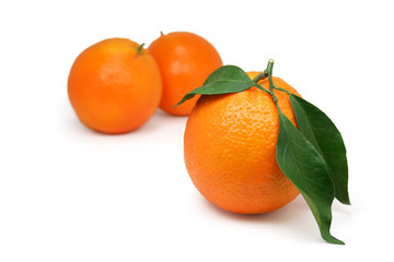 oranges with leaves