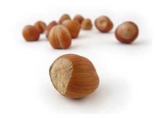 hazel nuts
