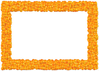 Obraz premium oranges frame. from the food frames series