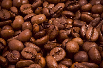 coffee beans background