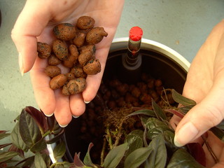 umtopfen hydro 4