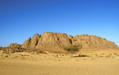 Fototapeta na wymiar Algierskiej pustyni