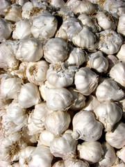 garlic spice