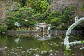 Fototapeta na wymiar jardin japonais