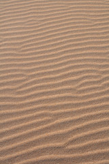 ondas de arena en las playas de cádiz