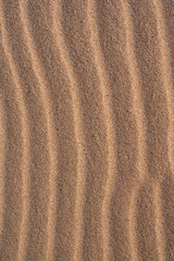 ondas de arena en la playa de cádiz