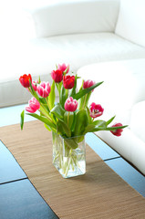 bunch of tulip flowers