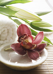 décor floral de massage