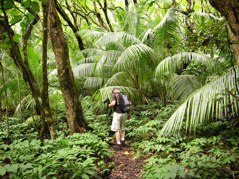 hiking the rain forest