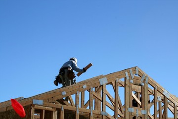 carpenter