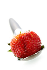 strawberry temptation