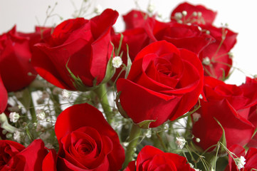 red roses