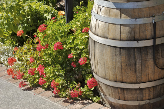 wine barrel and flowers