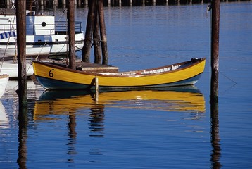 Fototapeta na wymiar row boat at aquatic park