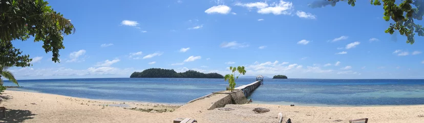 Foto op Plexiglas beach of pulau kadidiri, togians island, sulawesi, indonesia, la © Thomas Pozzo di Borgo