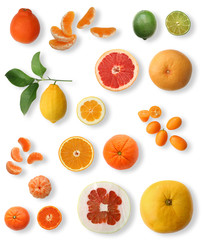 citrus series: citrus collection