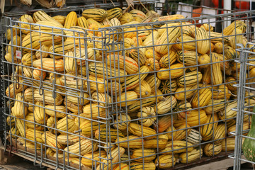 crate of squash