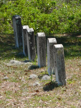 line of gravestones