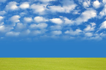 Obraz premium meadow and pleasant sky
