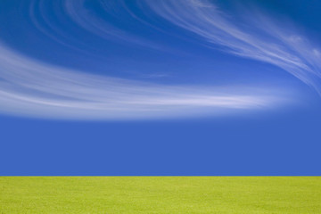 field of grass and pleasant sky