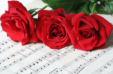 Naklejka premium three red roses on sheet music