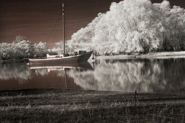 schiff