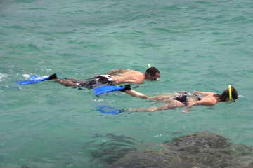 snorkeling 2