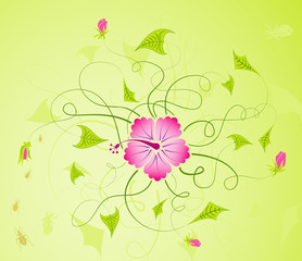 abstract floral background