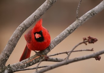 let me get a closer look at you