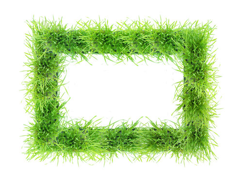frise nature