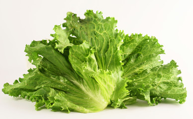 green lettuce