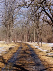 muddy road