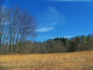 hillside