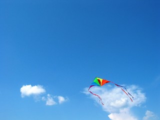 kite