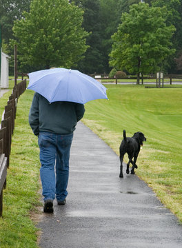 Man Walking In Rain With Dog