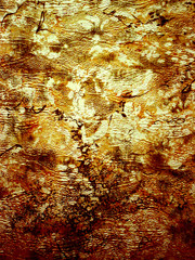 abstract background texture