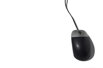 computer mouse
