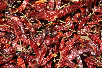 red hot chilli peppers